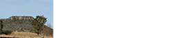 Table Rock Boarding Kennels